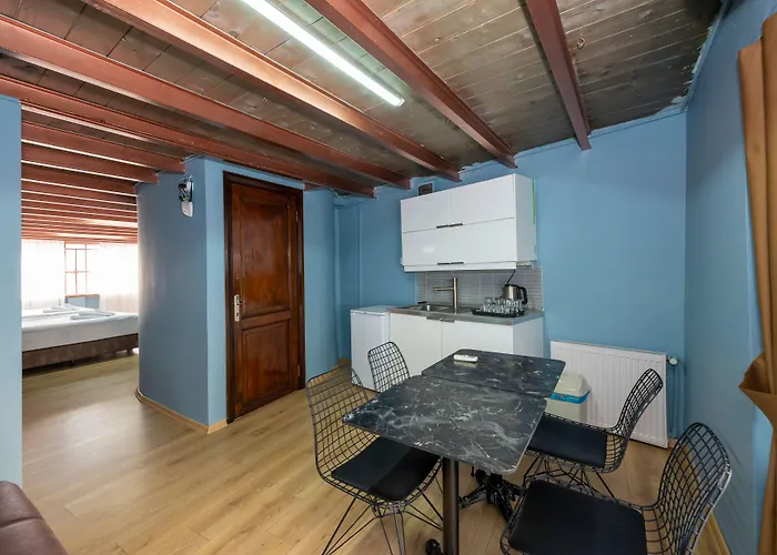 شقة فندقية Taksim Antique اسطنبول